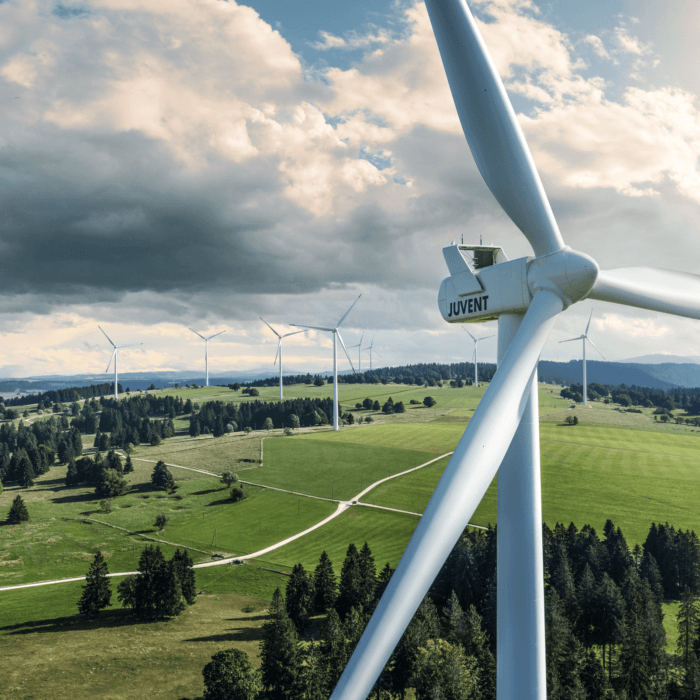 Online digitalisiert die Ablagestrukturen bei SN Energie mit Microsoft 365.